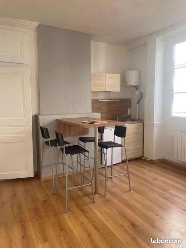 Appartement à louer, 35m², Saint-Etienne