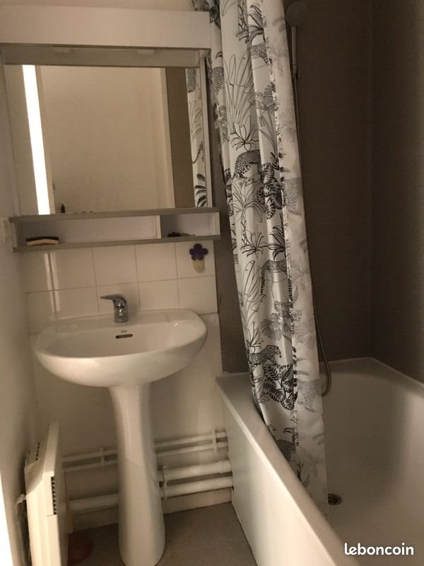 Appartement à louer, 19m², Pau