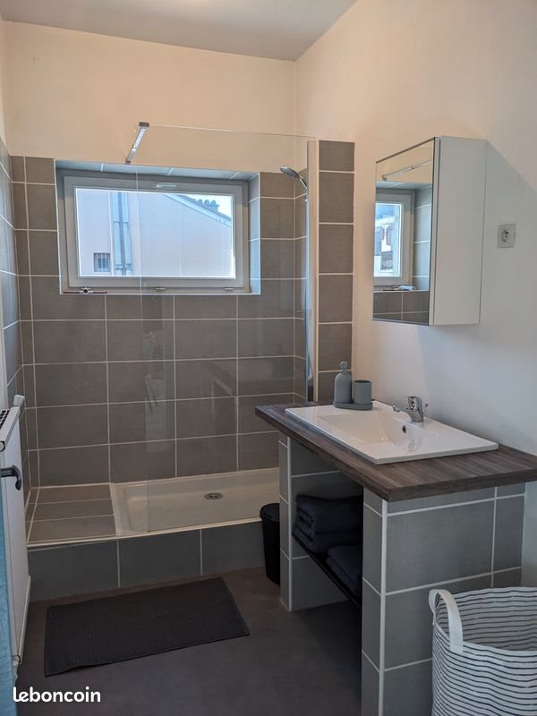 Appartement à louer, 56m², Saint-Etienne