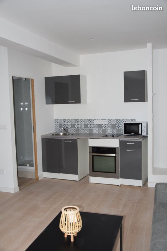 Appartement à louer, 28m², Niort