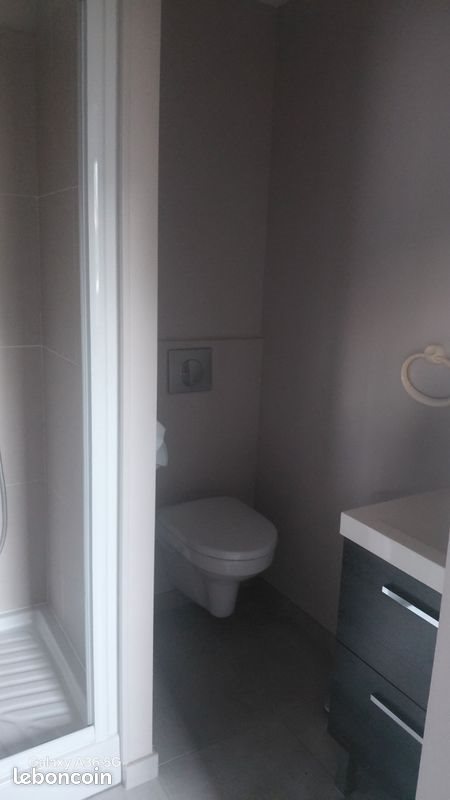 Appartement à louer, 17m², Ecouflant