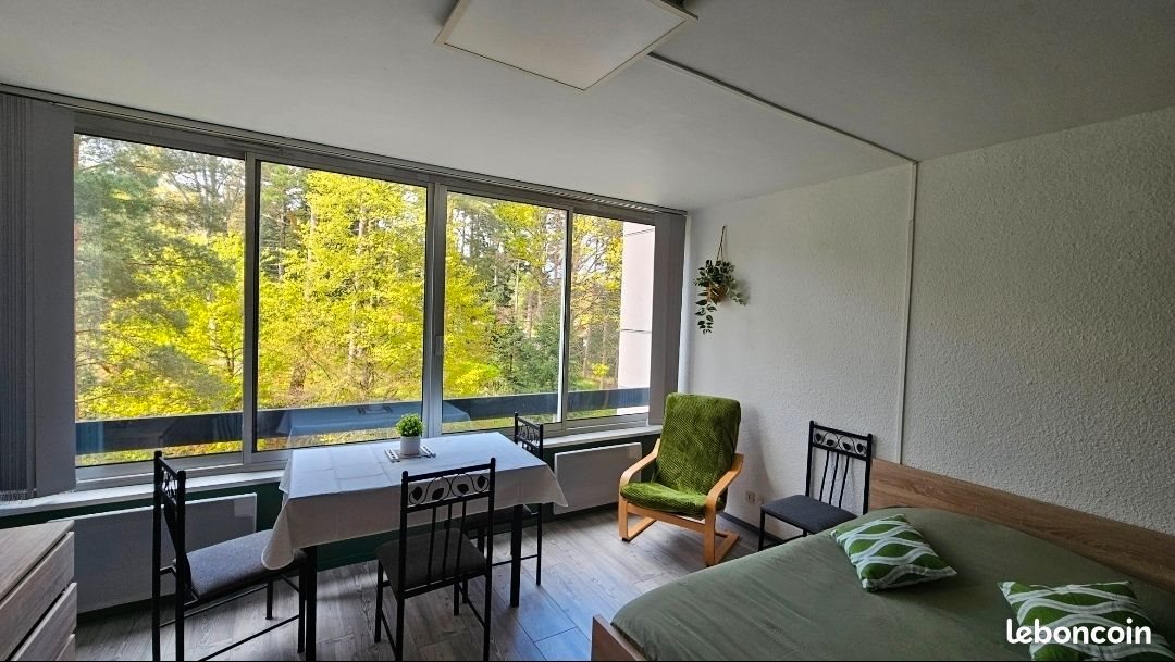 Appartement à louer, 22m², Turckheim