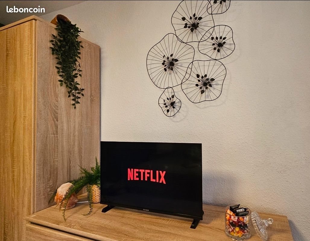 Appartement à louer, 22m², Turckheim