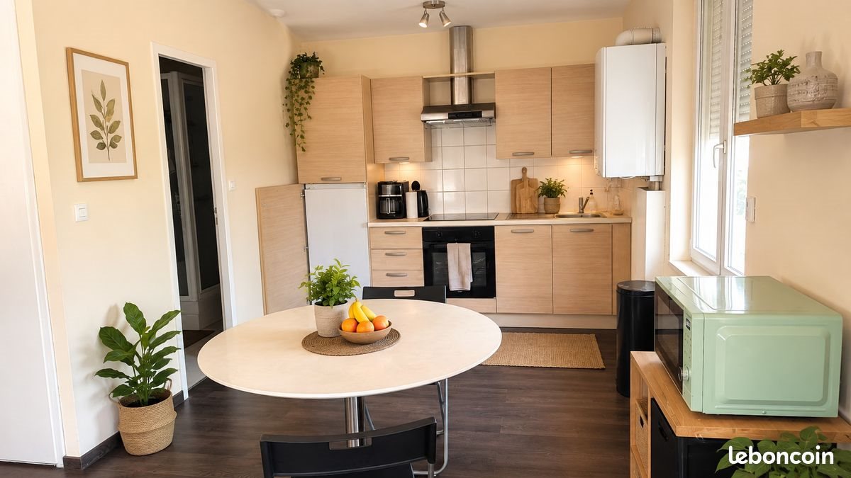 Appartement à louer, 52m², Lyon 3ème