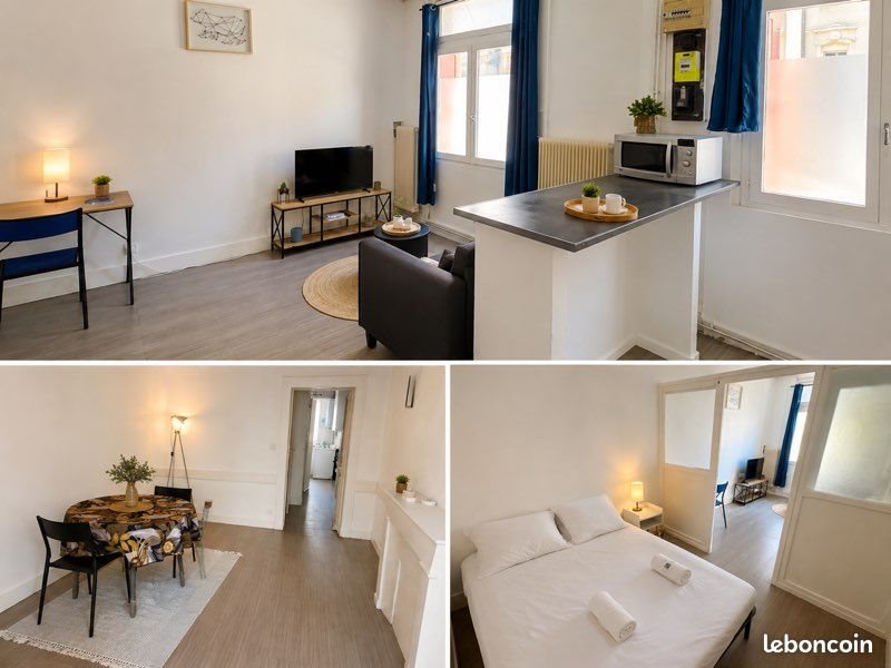 Appartement à louer, 49m², Saint-Etienne