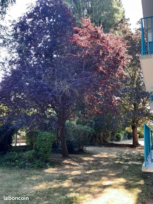 Appartement à louer, 59m², Douai