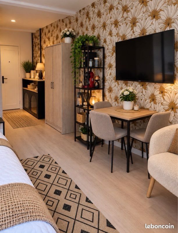 Appartement à louer, 25m², Nancy