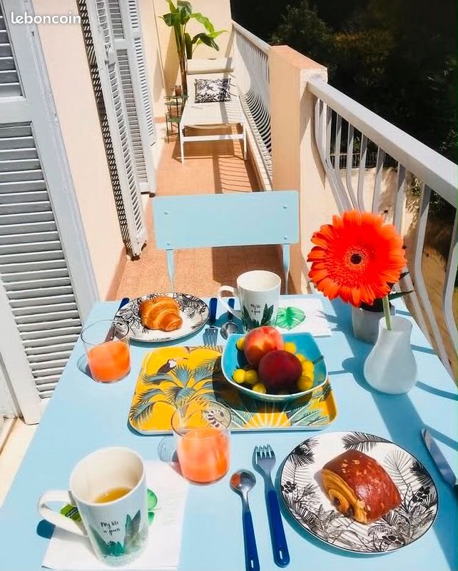 Appartement à louer, 41m², Nice