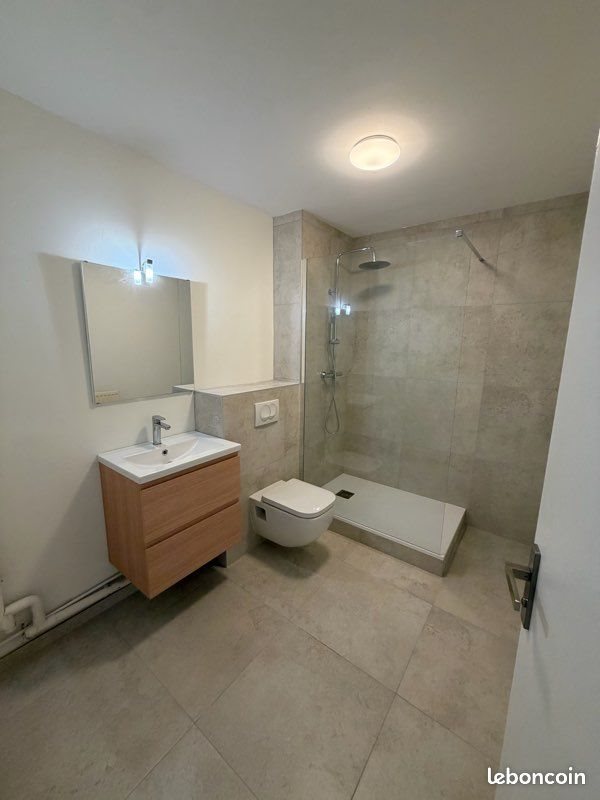 Appartement à louer, 39m², Saint-Étienne