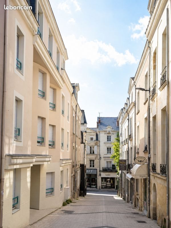 Appartement à vendre, 25m², Angers