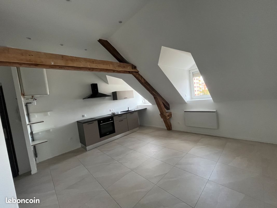 Appartement à louer, 45m², Belfort