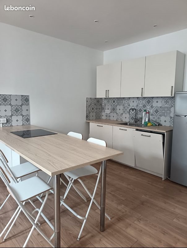 Appartement à louer, 48m², Saint-Etienne