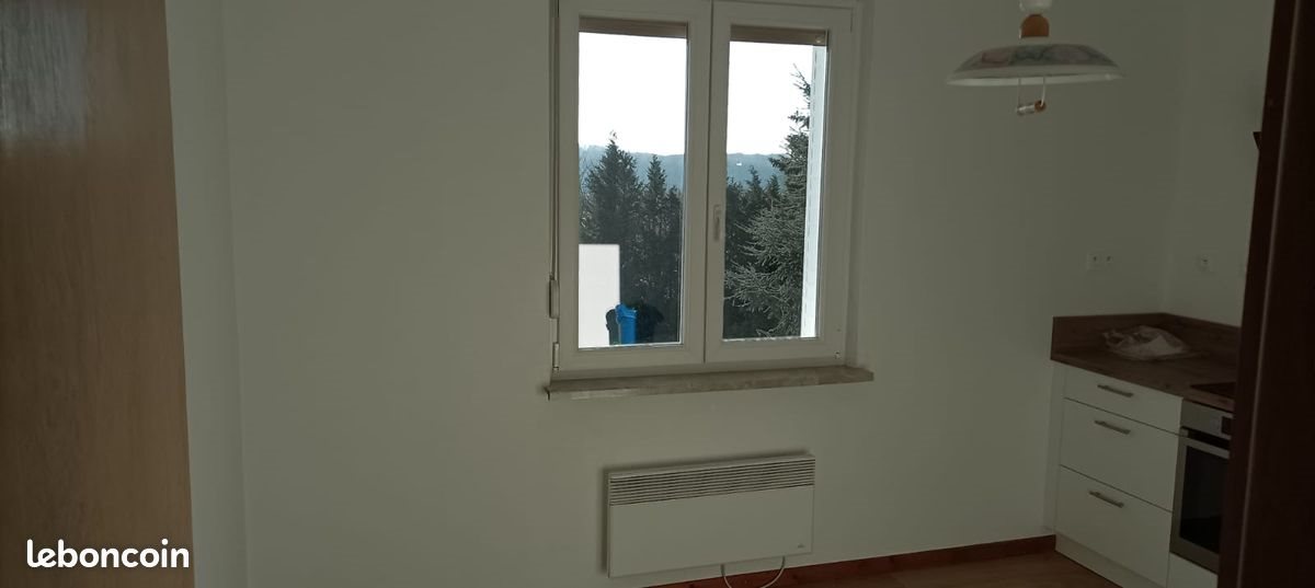 Appartement à louer, 39m², Sarreguemines