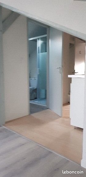 Appartement à louer, 40m², Feurs