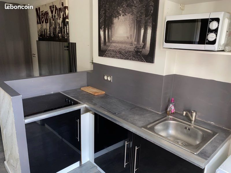 Appartement à louer, 20m², Saint-Étienne