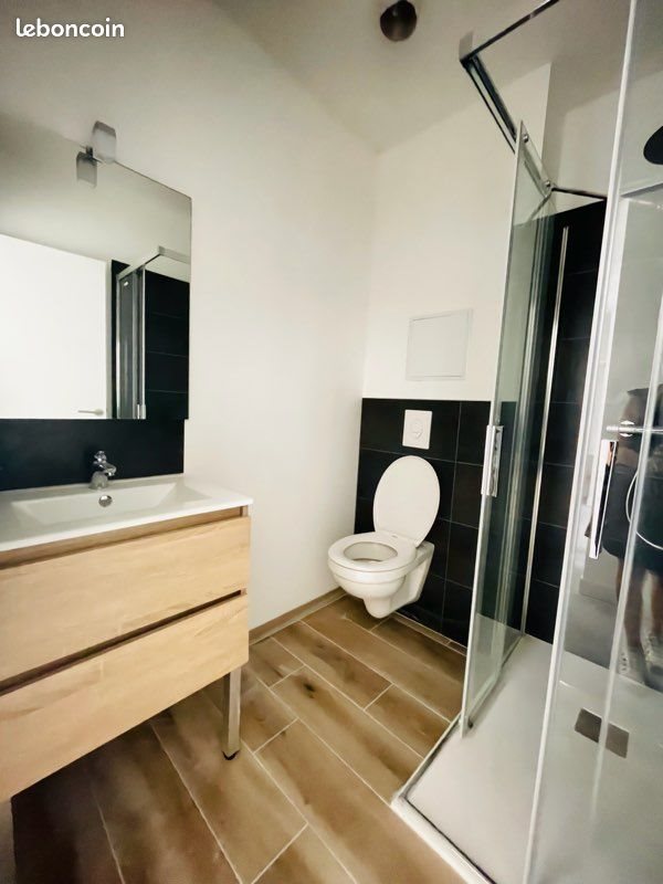 Appartement à louer, 20m², Nancy