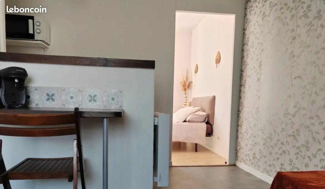 Appartement à louer, 24m², Arnas