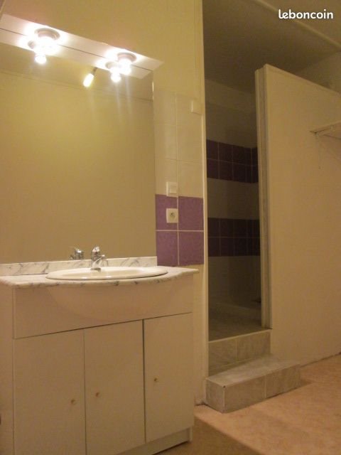 Appartement à louer, 52m², Dormans