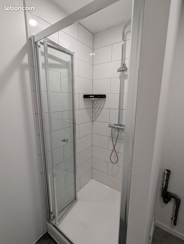 Appartement à louer, 42m², Roanne