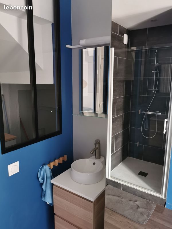 Appartement à louer, 16m², Lille