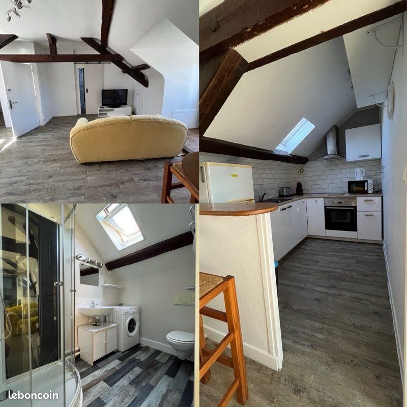 Appartement à louer, 45m², Blois