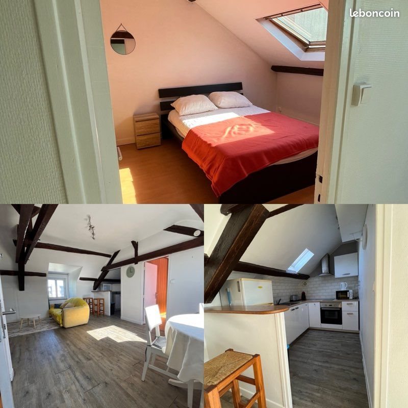 Appartement à louer, 45m², Blois
