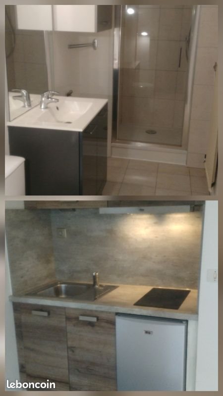Appartement à louer, 24m², Nancy