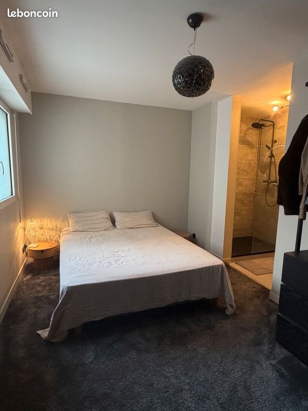 Appartement à louer, 50m², Nantes
