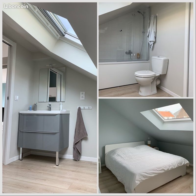 Appartement à louer, 50m², Lille