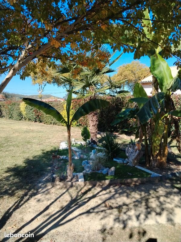 Maison à vendre, 160m², Sémalens