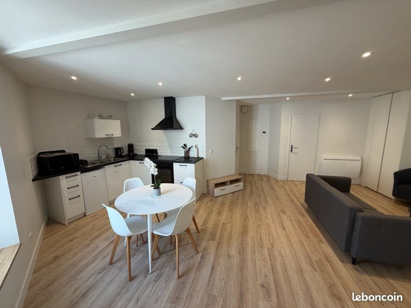 Appartement à louer, 50m², Pau
