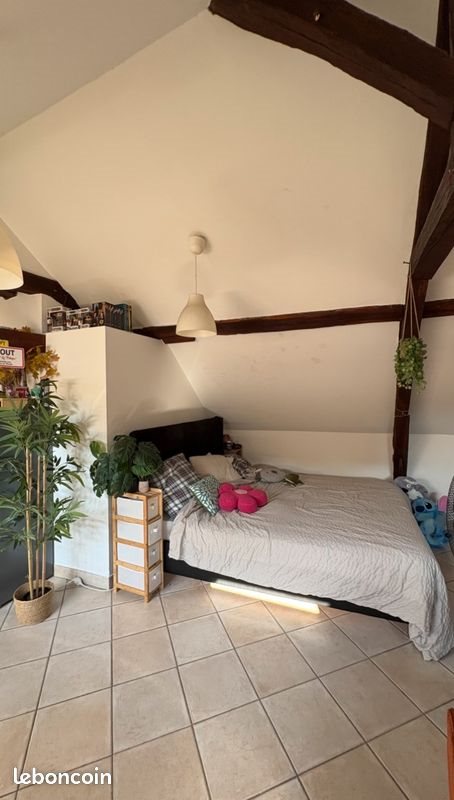 Appartement à louer, 23m², Saint-Etienne-de-Montluc