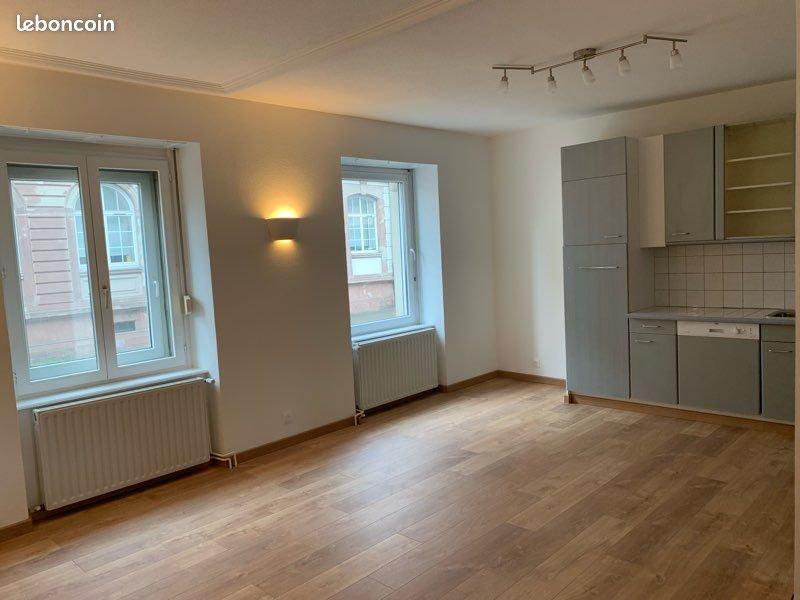 Appartement à louer, 51m², Mulhouse
