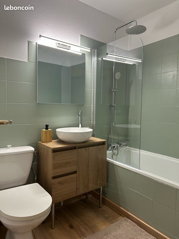 Appartement à louer, 38m², Romans-sur-Isère