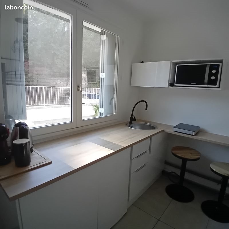 Appartement à louer, 14m², La Mulatière