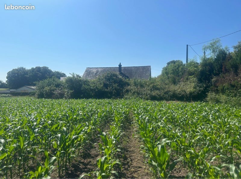 Maison à vendre, 110m², Le Faouët