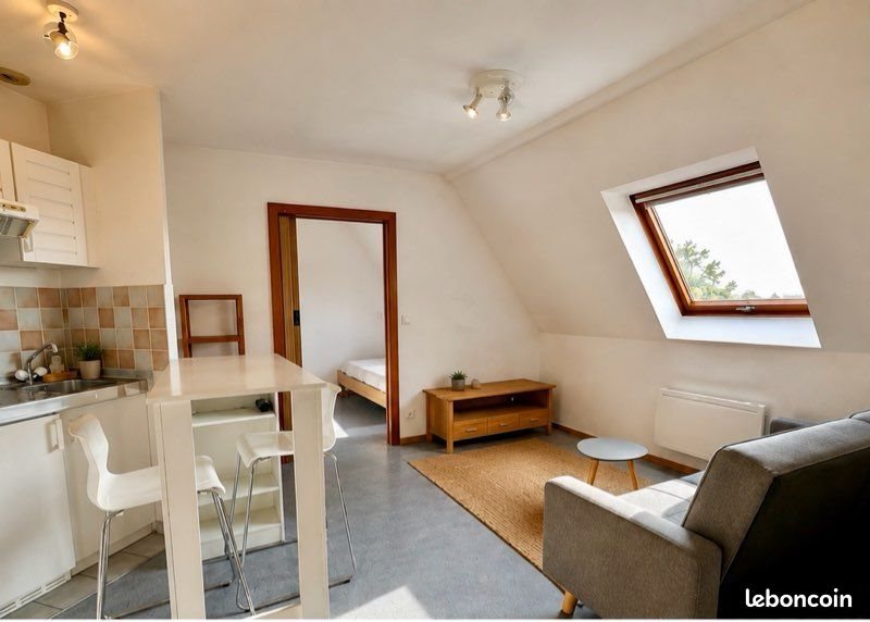 Appartement à louer, 23m², Kembs