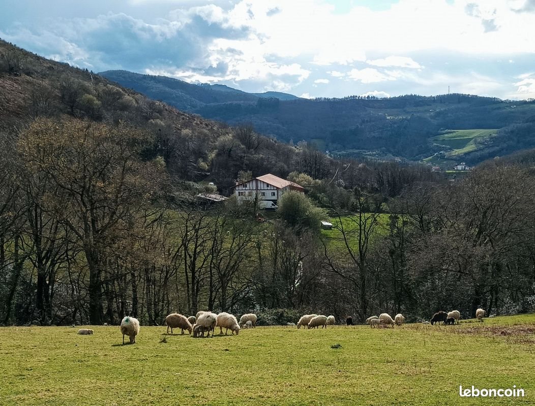 Maison à vendre, 500m², Urrugne
