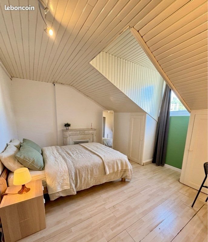 Appartement à louer, 55m², Saint-Etienne