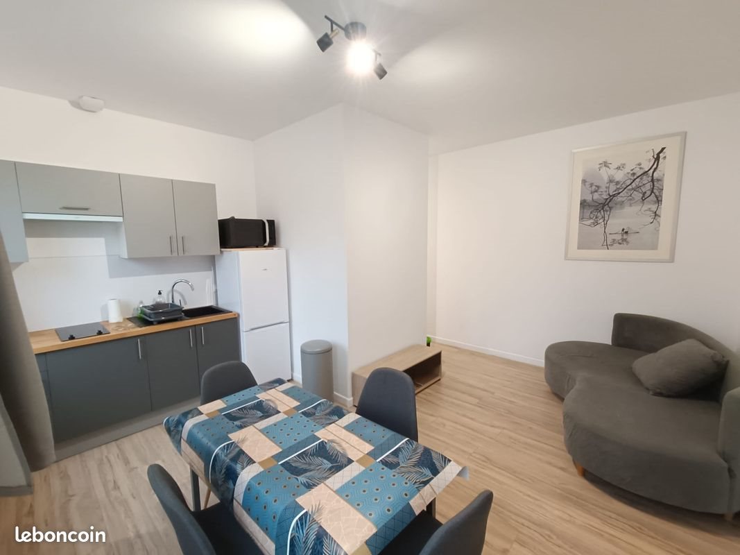 Appartement à louer, 43m², Saint-Étienne