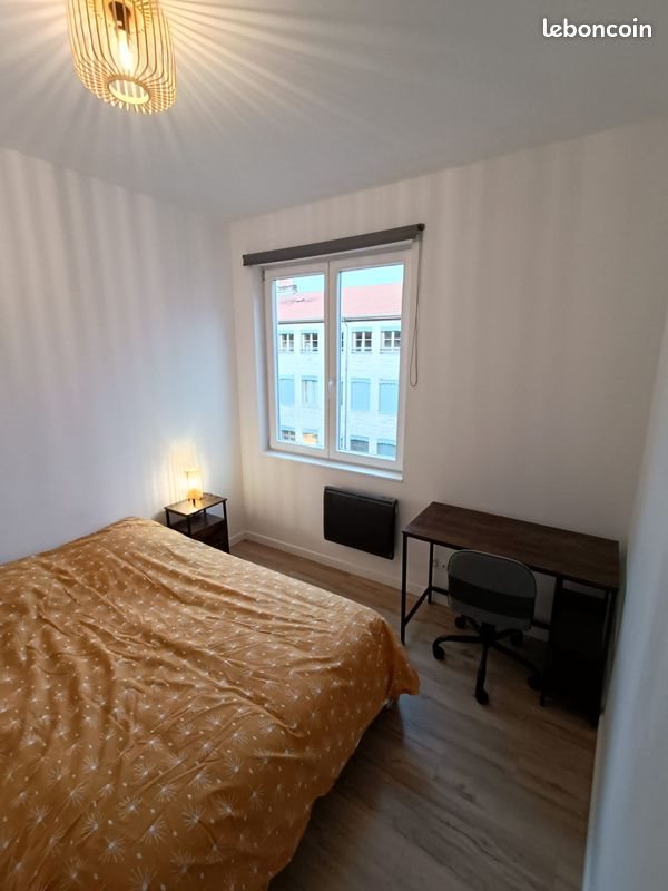 Appartement à louer, 43m², Saint-Étienne