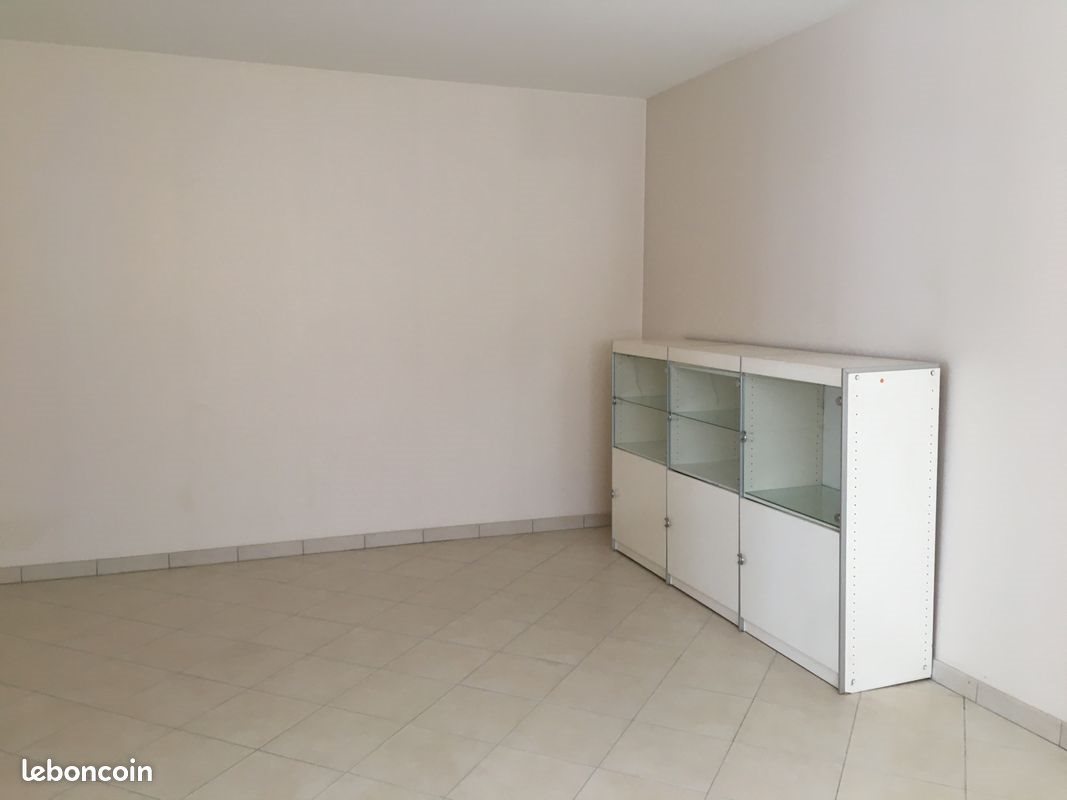 Appartement à louer, 54m², Rieux-Minervois