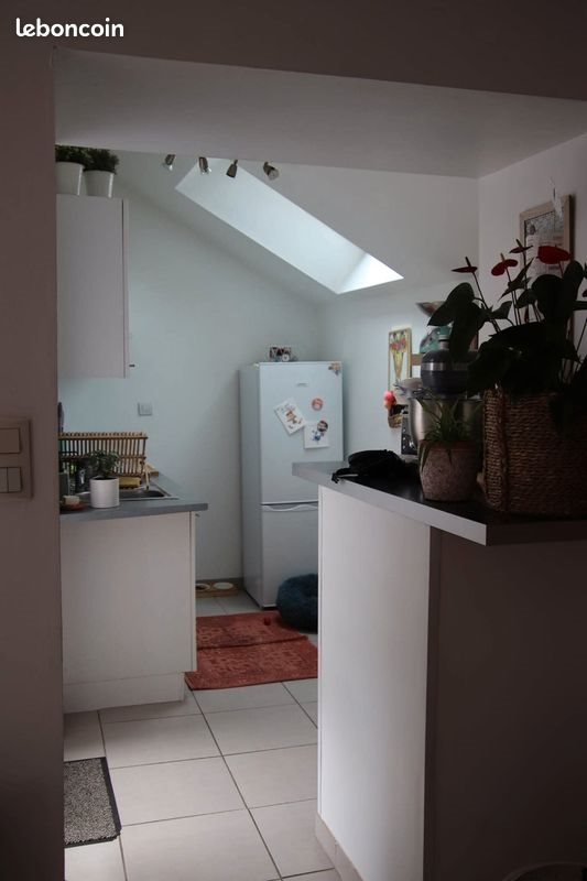 Maison à louer, 56m², Bains-sur-Oust