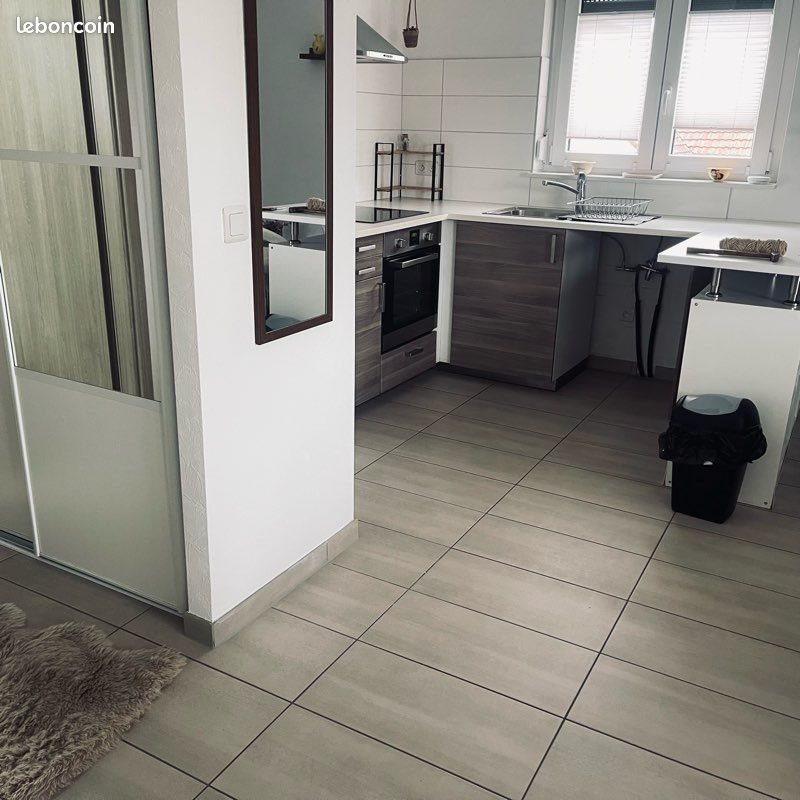 Appartement à louer, 50m², Beinheim