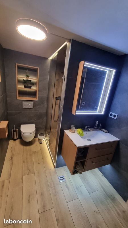 Appartement à louer, 21m², Plobsheim