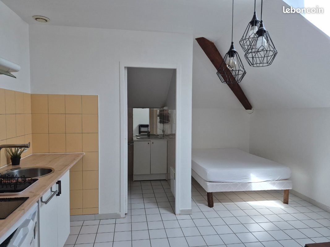 Appartement à louer, 630m², Auch