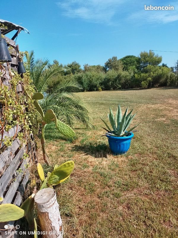 Maison à vendre, NaNm², Marseillan