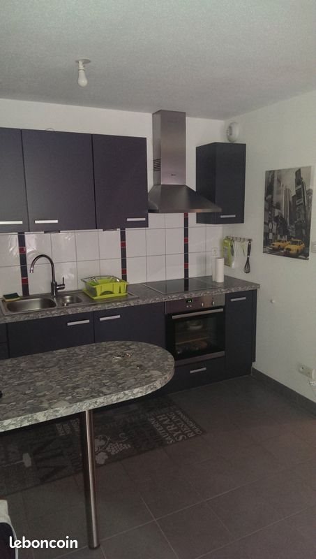 Appartement à louer, 49m², Mulhouse