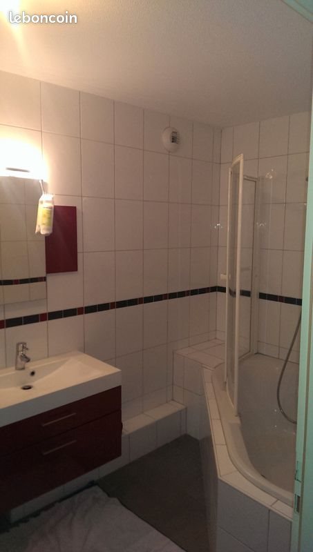 Appartement à louer, 49m², Mulhouse