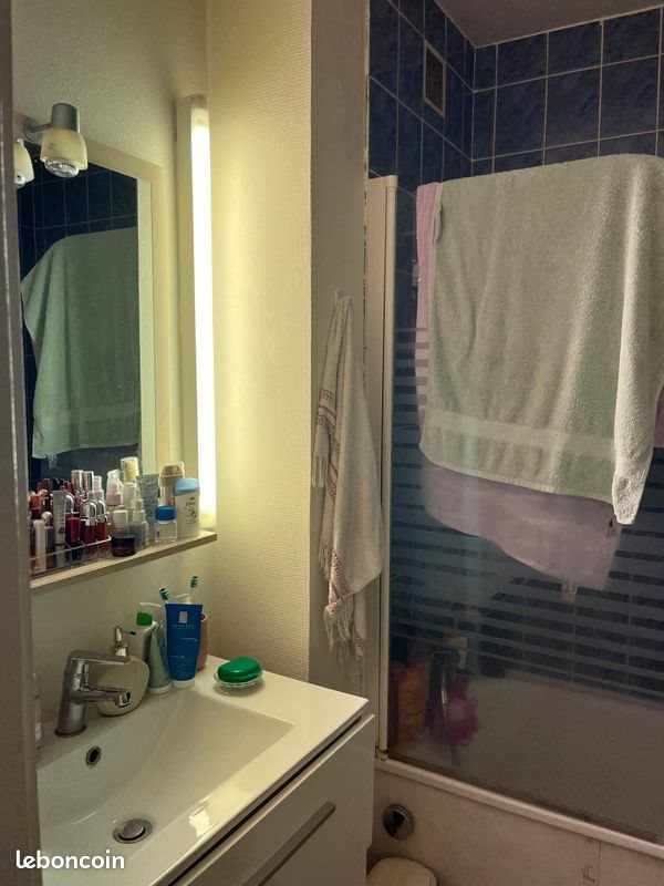 Appartement à louer, 26m², Nancy